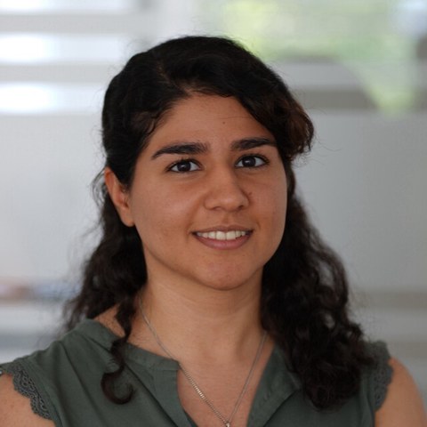 Negar Shahamiri