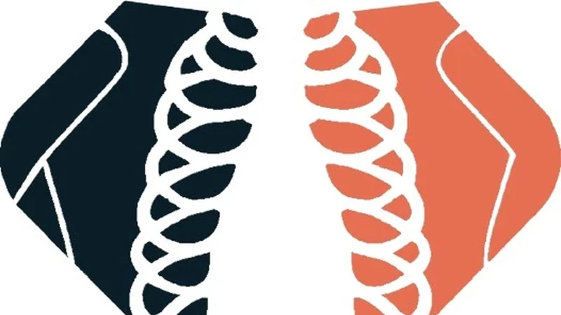Chest X-Ray Anatomy Segmentation