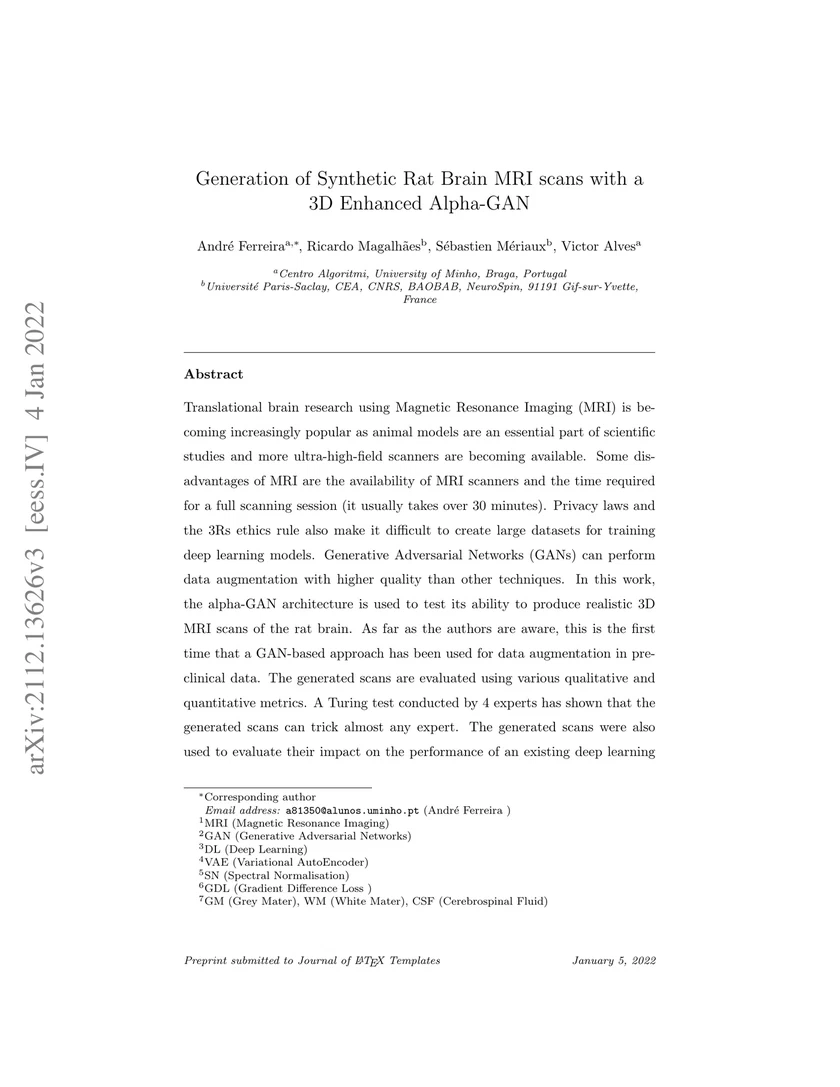 Generation of Synthetic Rat Brain MRI Scans with a 3D Enhanced Alpha Generative Adversarial Network