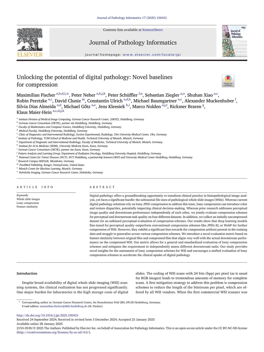 Unlocking the potential of digital pathology: Novel baselines for compression