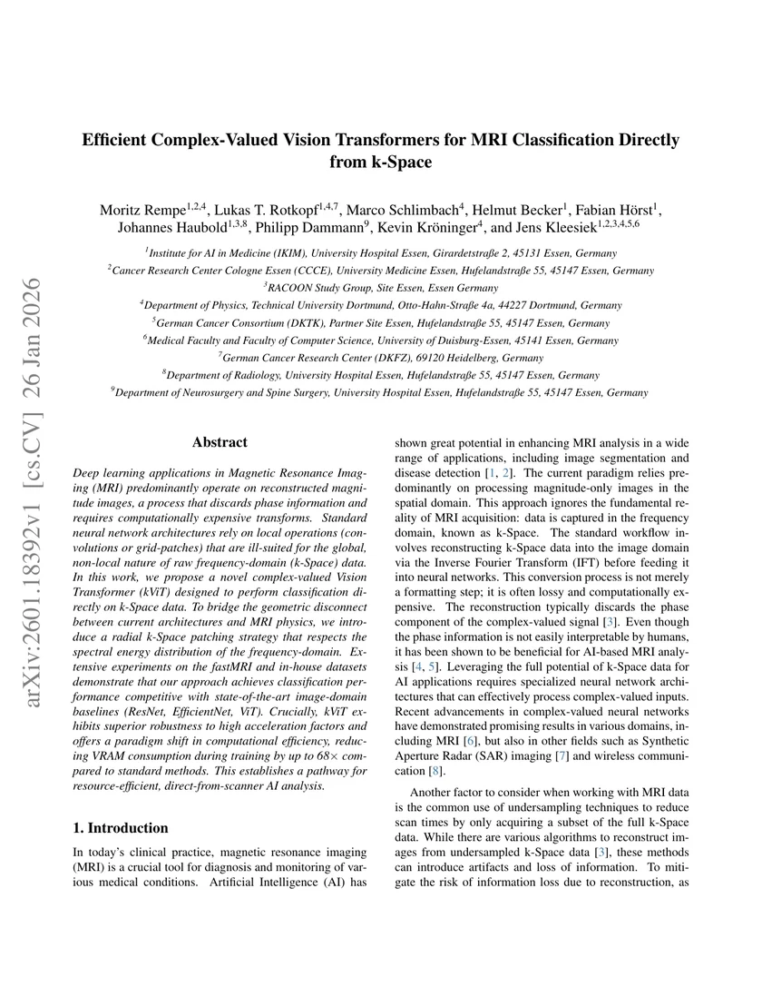 Efficient Complex-Valued Vision Transformers for MRI Classification Directly from k-Space